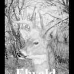 Elwald Forest Stag