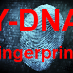 Y-DNA fingerprint