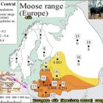 European elk (American moose) range in Europe.