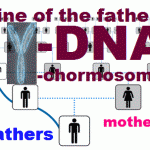 line of fathers Y-DNA chromosome