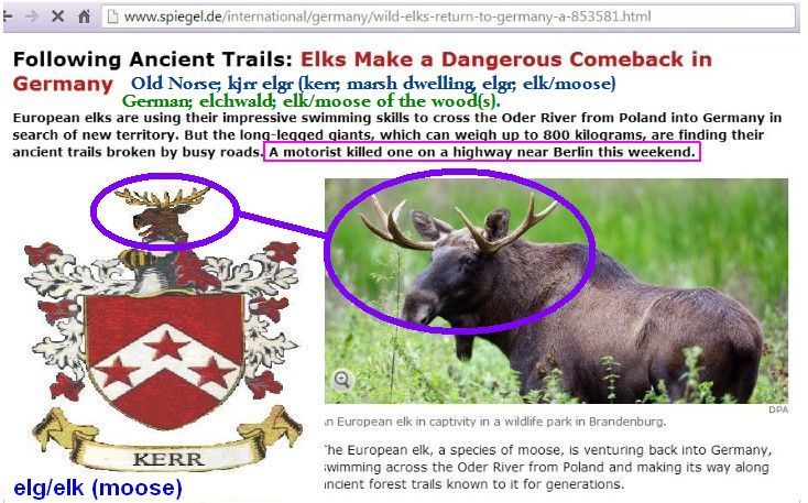 elg-elk-moose-kerr