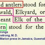 elk-head-and-antlers-elwald-hunters-and-foresters-hunting-horn