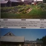 Howard-Elliot Farm Croydon, NH (3)