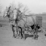 Loren and Lois Elliott