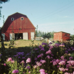 Mark Elliott farm Mt Ayr