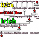 mtDNA line