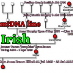 mtDNA line