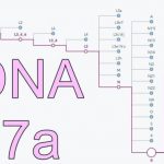 mtDNA-H27a-Alma-900×376