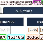 mtDNA H27a FTDNA 101828