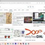 ‘FTDNA Ellwood’ Microsoft Bing images 8-2-2023