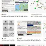 Google mtDNA H27a images 10-17-2024